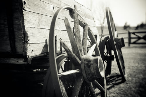 Wagon
